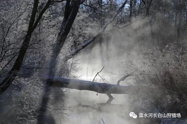 莫雷岛逃脱