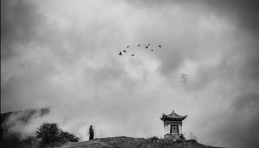 救援摄影师男孩
