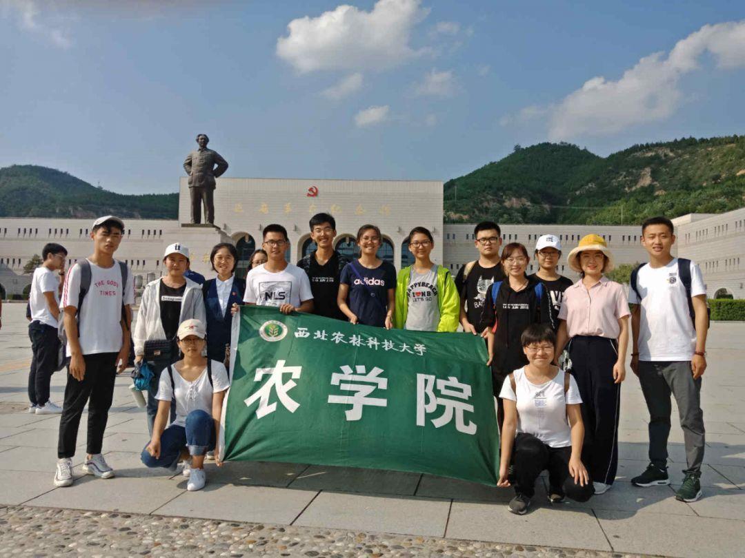 燃烧吧大脑免广告最新版