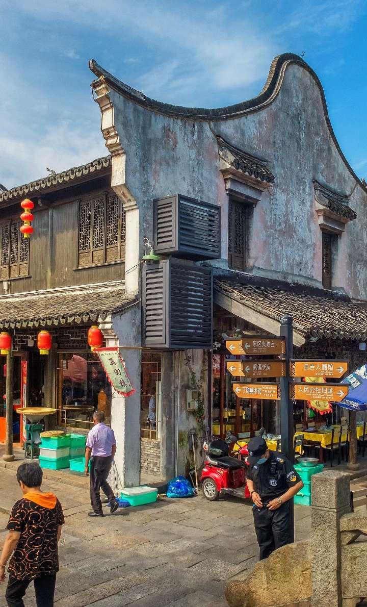 动物帮帮忙保卫家园